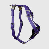 Harness